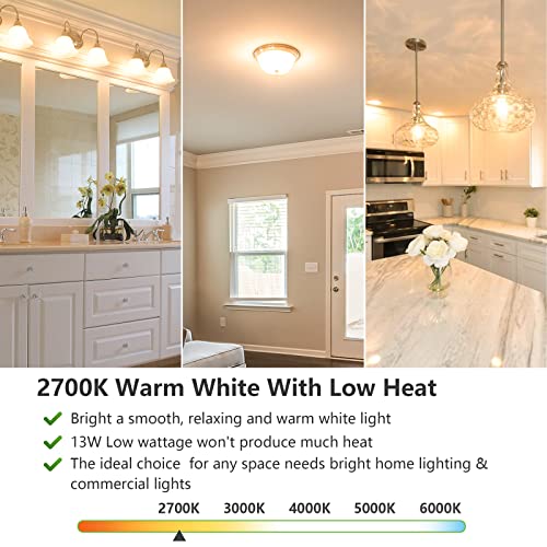A19 LED Light Bulbs (4 Count)