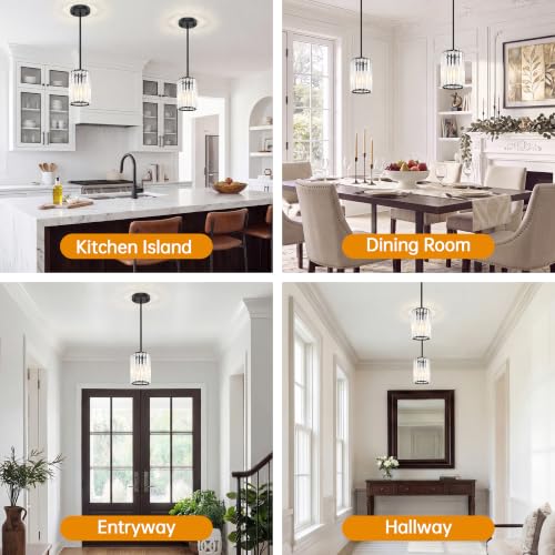 Black Pendant Light (2 Count)