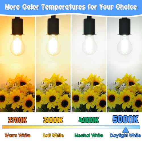 60W Equivalent E26 LED Filament Light Bulbs (24 Count)