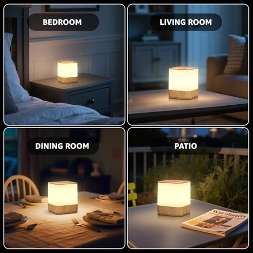 2 Pack Rechargeable Small Night Light Touch Dimmable Cordless Lamp (2 Count)