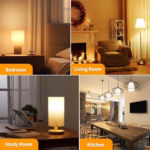 Dimmable LED Light Bulbs (6 Count)