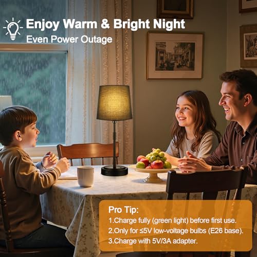 Cordless Table Lamps Set of 2 (2 Count)