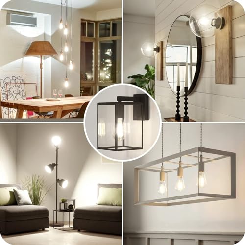 12 Pack Vintage LED Edsion Bulbs 100W Equivalent (12 Count)