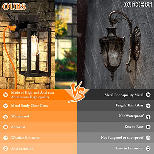 2 Pack Porch Lights Outdoor Wall Lantern (2 Count)