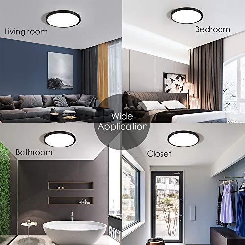 Flush Mount LED Ceiling Light Fixture Black