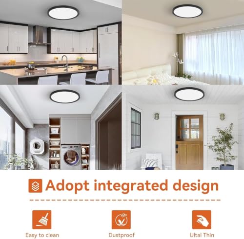 Flush Mount Ceiling Light Fixture
