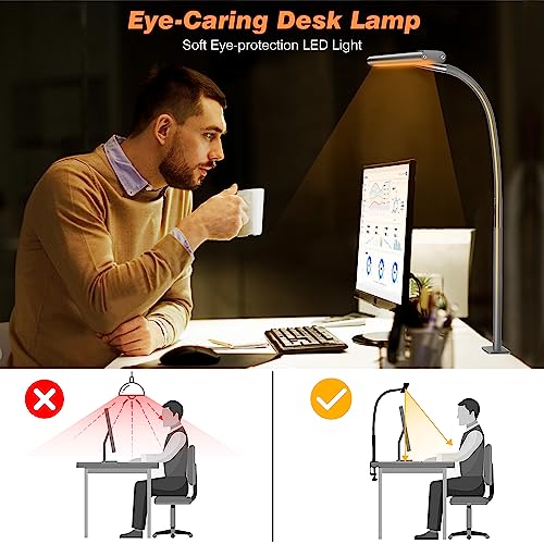 LED Desk Lamp with Clamp