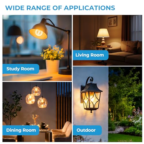 E26 G16.5 Edison LED Globe Bulb (6 Count)