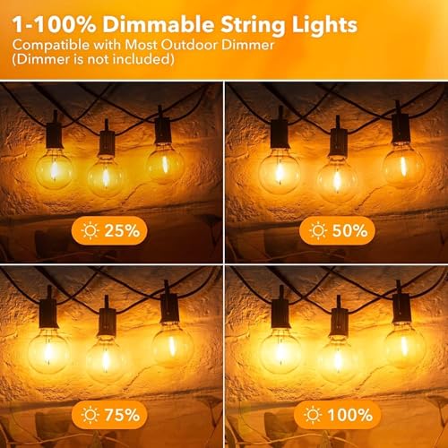 Outdoor String Lights (50 Count)