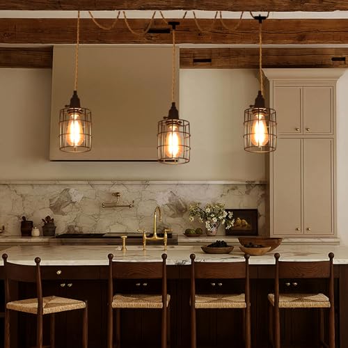 3 Light Hanging Light with Plug in Cord