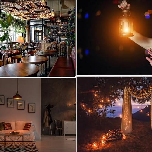 A19 Dimmable LED Amber Light Bulbs (2 Count)