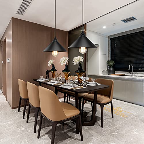 Black Plug in Pendant Light
