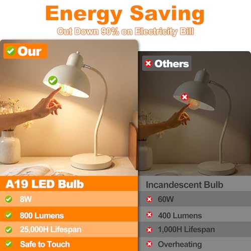 A19 Vintage LED Edison Light Bulb (12 Count)