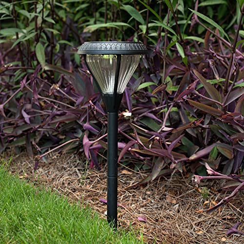 Premier Outdoor Pathway Garden Landscape Light with 2 Color LEDs (2 Count)