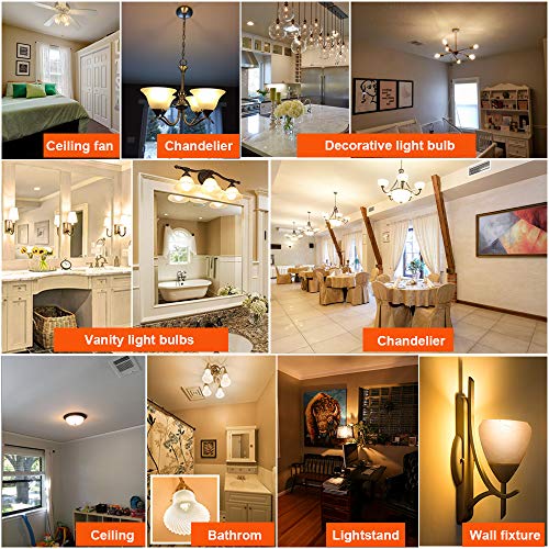 Dimmable G16.5 E26 Bulb (6 Count)