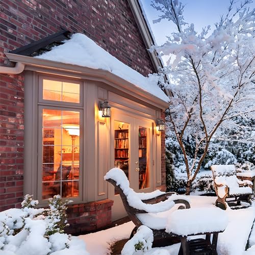 2 Pack Outdoor Wall Lights (2 Count)
