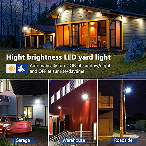 100W LED Barn Light with 10KLM 5000K Daylight