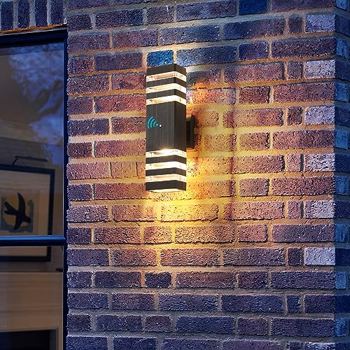 Dusk to Dawn Outdoor Light Fixture Exterior Lights (6 Count)