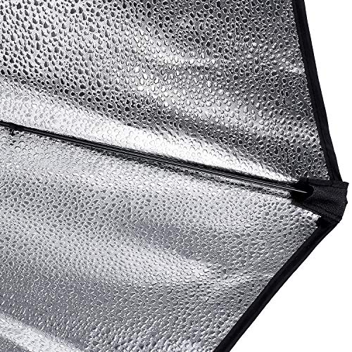 700W Equivalent Softbox Lighting Kit