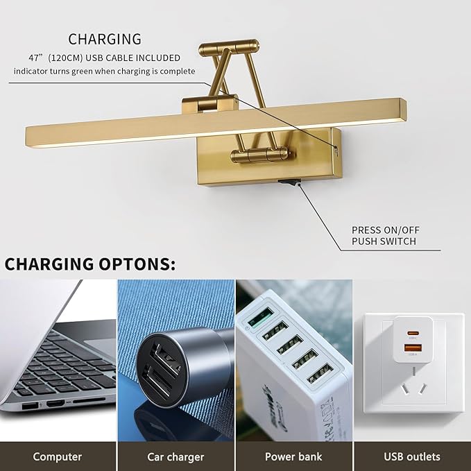 Rechargeable Lights for Pictures on Wall Battery Operated Brass 15.7 Inch Wall Lights with Swing Arm and Timer Function Cordless Art Light with Remote Timer for Paintings,Gallery
