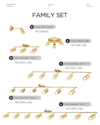 8 Light Modern Kitchen Track Lighting with 3000K LED Bulbs Included (Sunflower, Brushed Gold / 61.4", 8-light)