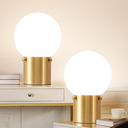Small Table Lamp with Frosted Glass Globe Lamp Shade