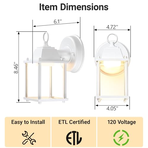 Outdoor Wall Light Fixture (3000K White / 1-pack)