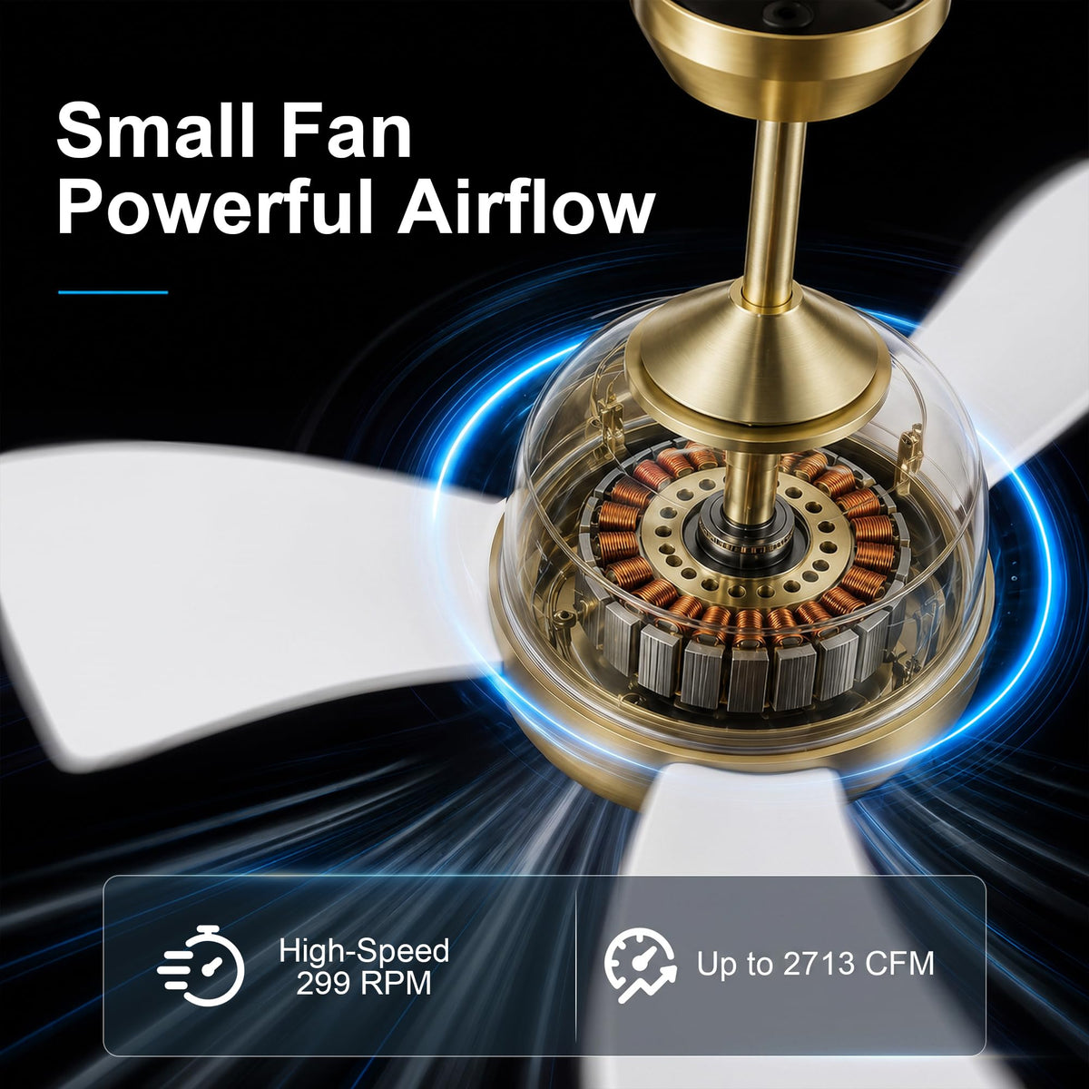 30 Inch Small Ceiling Fan with Lights (Brushed Brass & White / 30 Inch)