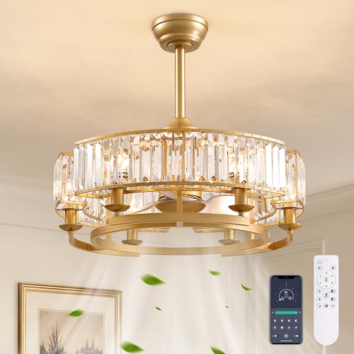 Modern Ceiling Fan with Light for Dining Living Room Bedroom Kitchen