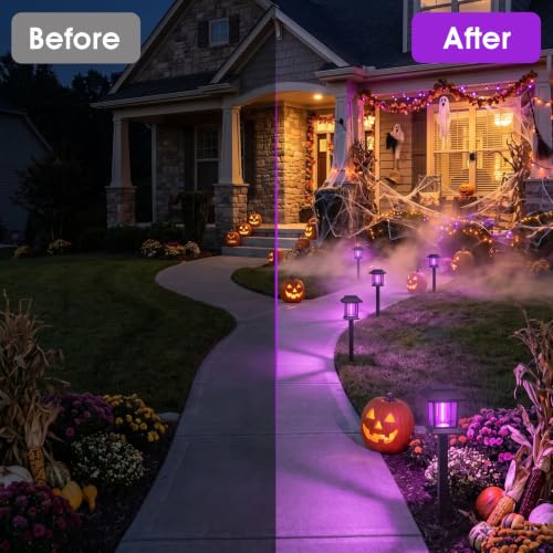Solar Lights Outdoor (Purple Light)