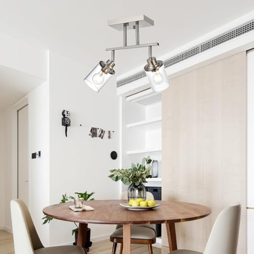 2 Light Track Lighting Kit Brushed Nickel Track Lighting Fixtures (Brushed Nickel / 2 Light)