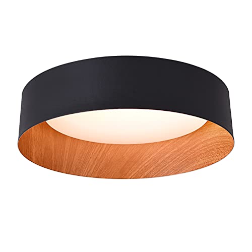 Flush Mount Ceiling Light