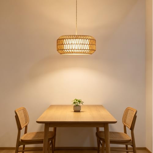 18 Inch Plug in Pendant Light (Plug in / Bohemian)