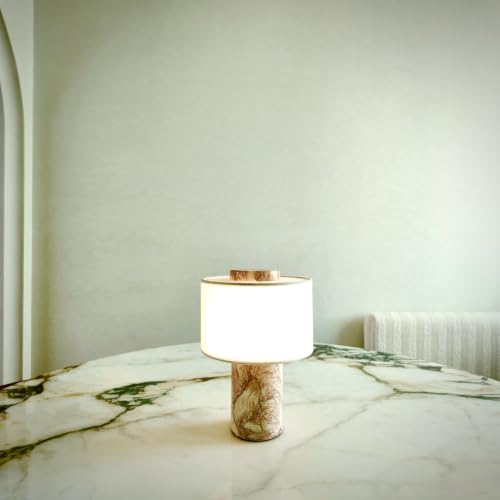Pink Shell Marble Lamp Stone Lamps (Rechargeable Pink Lumachella Lamp)