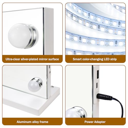 Vanity Mirror with Lights (White / 23"L x 18"W)
