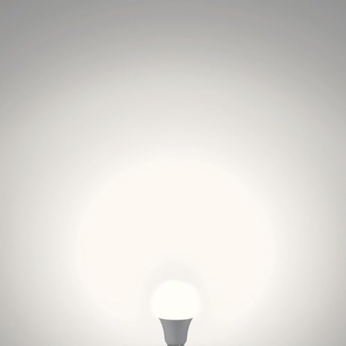 A19 LED Light Bulbs