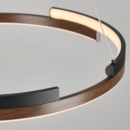 Modern LED Chandeliers Ring Chandelier for Dining Room Living Room Circular Linear Pendant Light