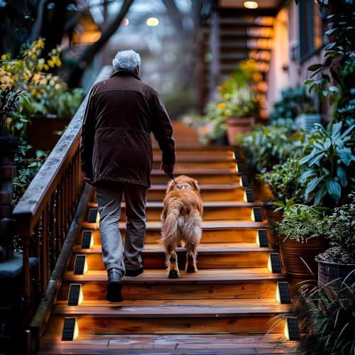 Solar Step Lights for Outside (Warm White / 20)