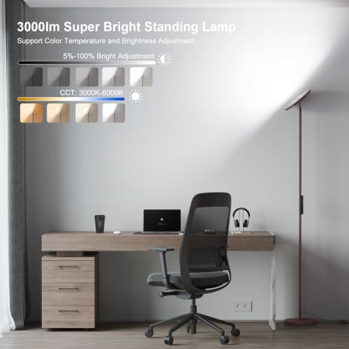 Floor Lamps for Living Room