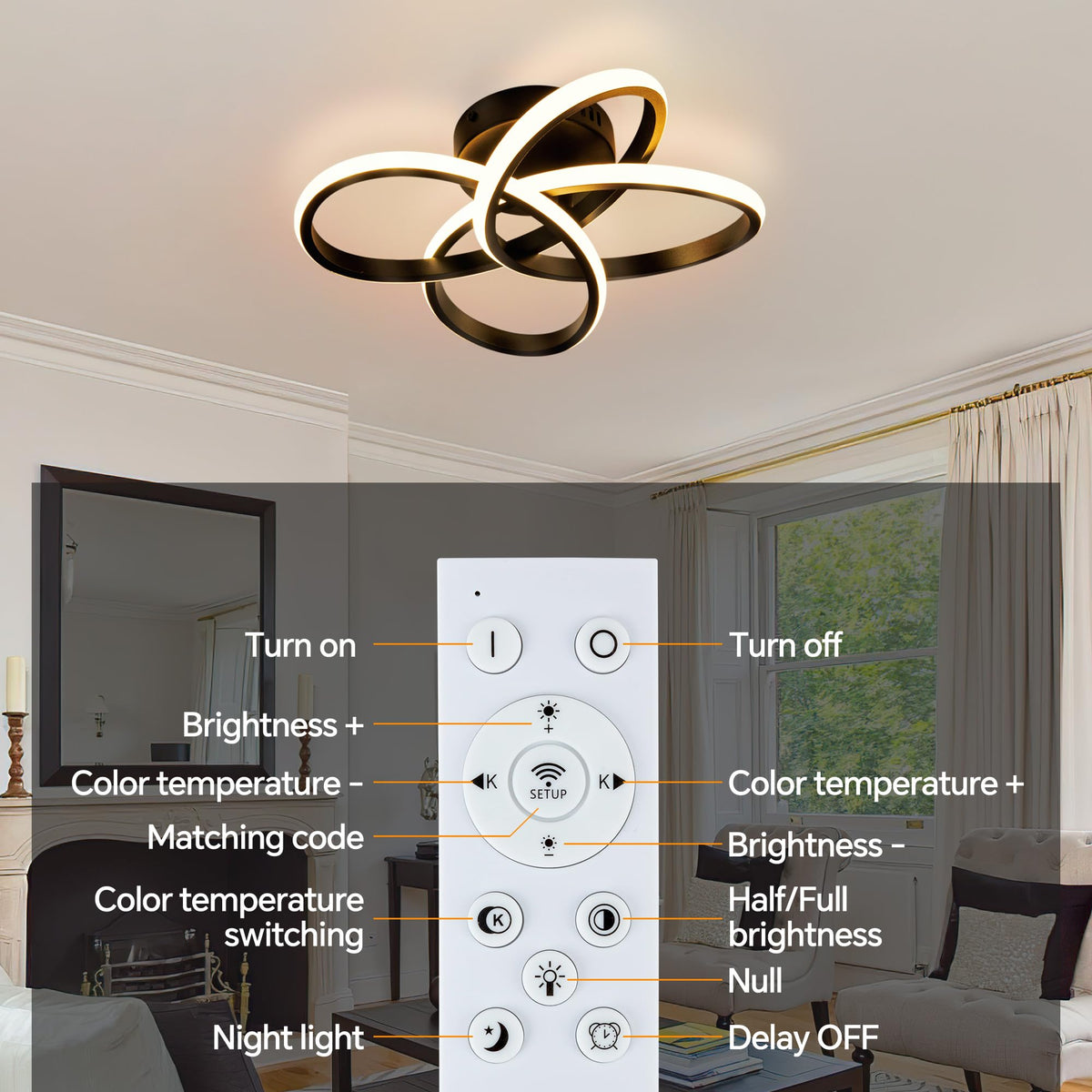 Modern Ceiling Light (Black / 13in)