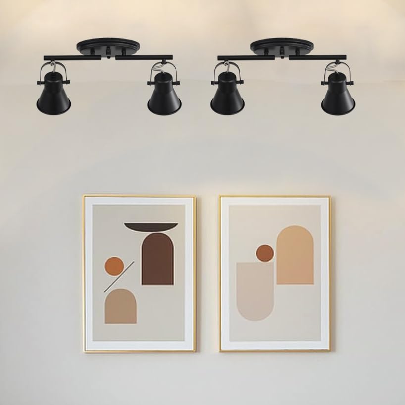 2 Light Track Lighting Kit (2-Light / Black)