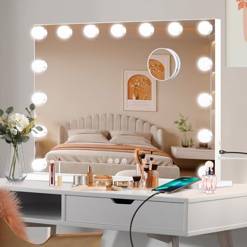 Vanity Mirror with Lights (White / 23"L x 18"W)