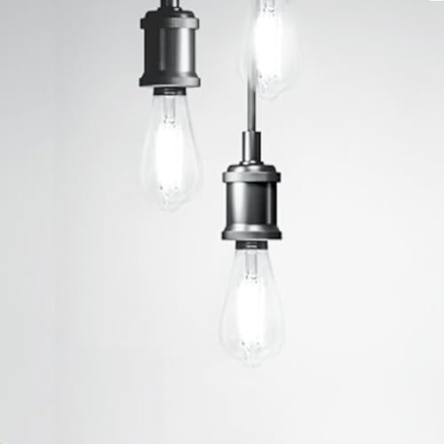Vintage LED Edison Bulbs 60W Equivalent