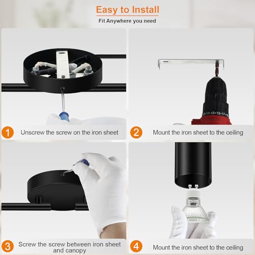 Plug in Track Lighting LED (4-Light Track Light(Black))