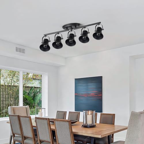 5 Light Track Lighting Kit (5-Light / Black)