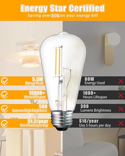 16 Pack Vintage Edison Bulbs (2700k Soft White / 16 Count (Pack of 1))