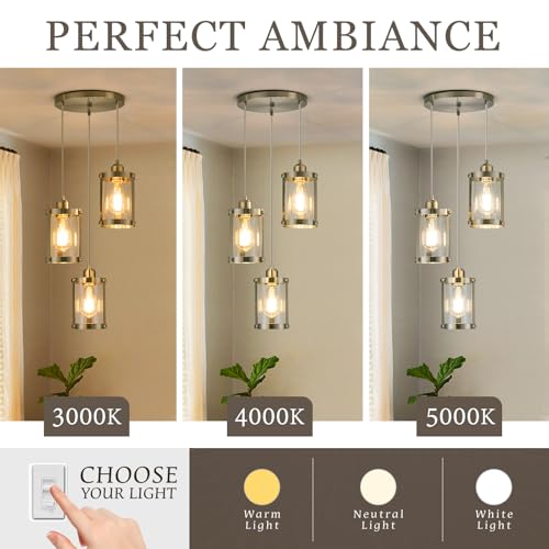 Brushed Nickel 3 (Nickel + Clear Glass / 3-Light Ceiling Chandelier)