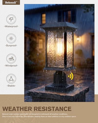 Outdoor Solar Post Lights (POST MOUNT X 2 (SOLAR))