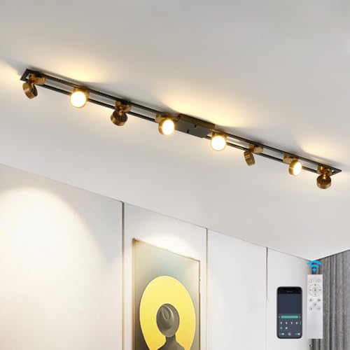 Modern Dimmable LED Flush Mount Ceiling Light Fixture with Remote