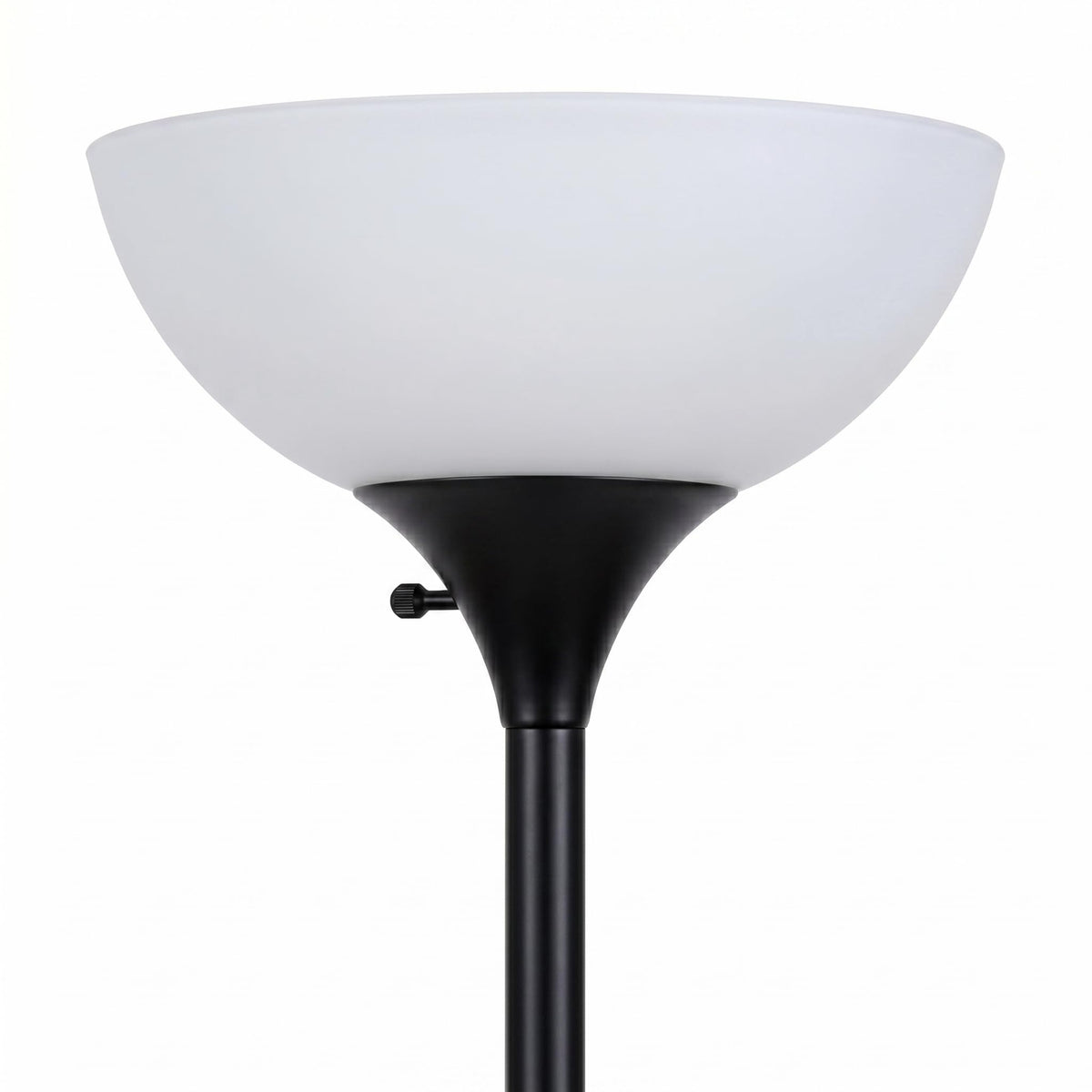 Sky Dome Dimmable LED Floor Lamp (Jet Black)
